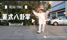 八卦掌视频,视频解析传统武术奥秘